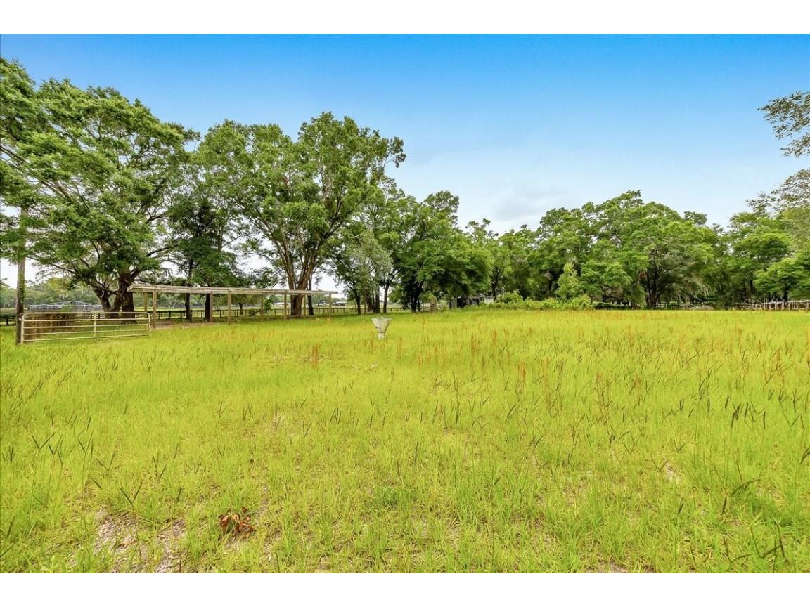 6350 NW 135th Avenue Morriston FL 32668 OM702724 image7