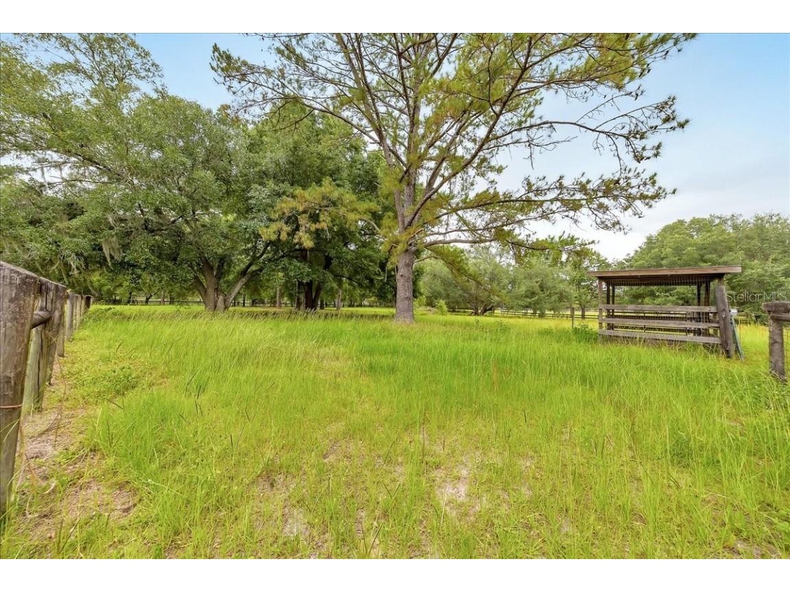 6350 NW 135th Avenue Morriston FL 32668 OM702724 image8