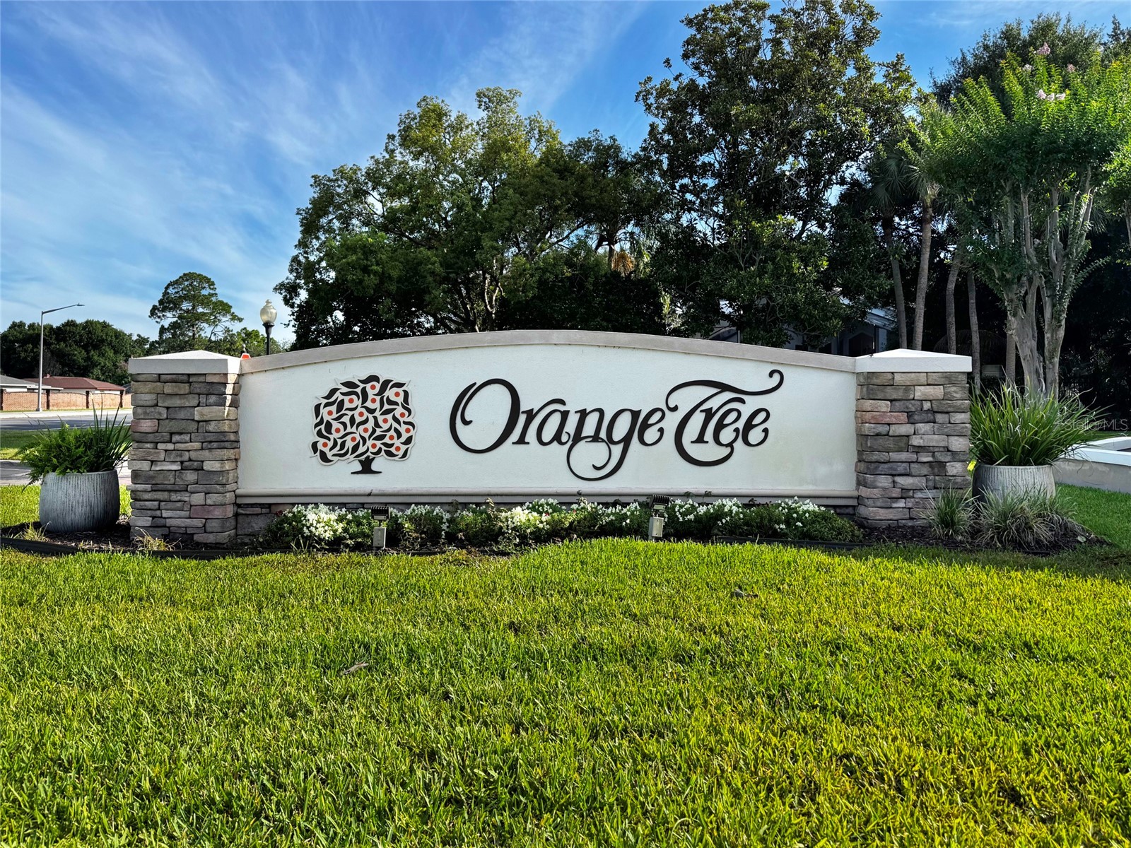 6350 Parson Brown Drive Orlando FL 32819 O6418967 image45