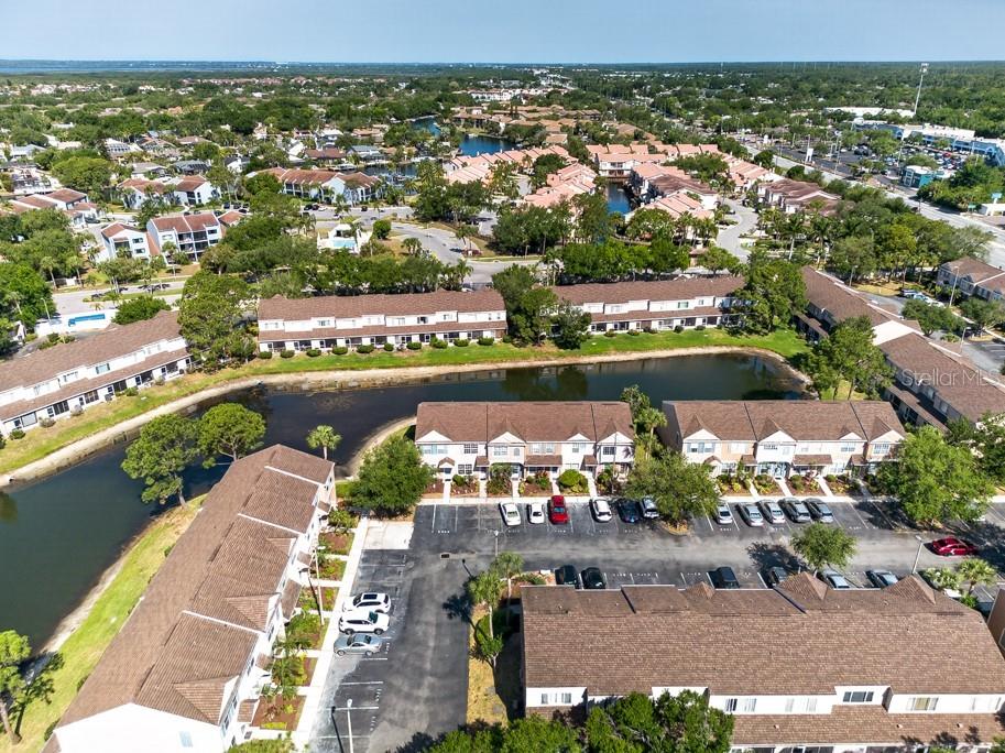 6353 Bayside Key Drive Tampa FL 33615 TB8502240 image34