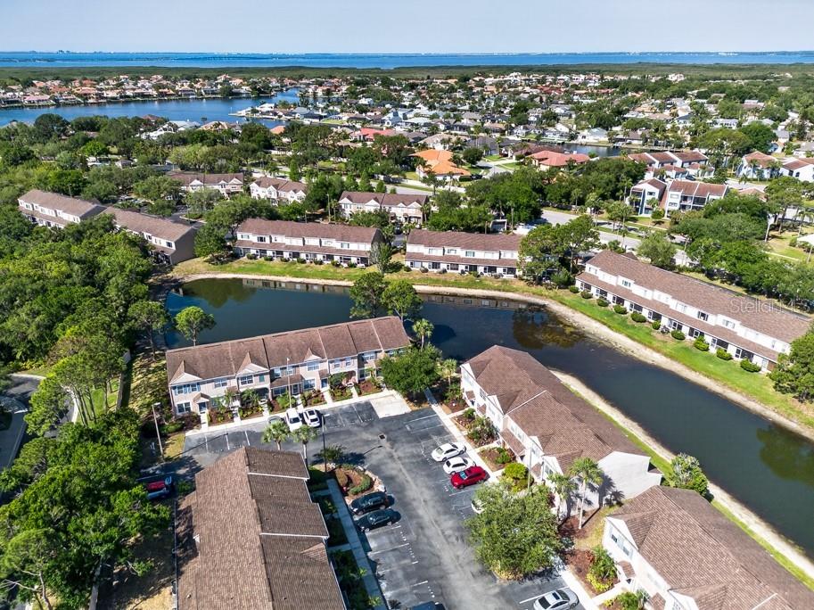 6353 Bayside Key Drive Tampa FL 33615 TB8502240 image35