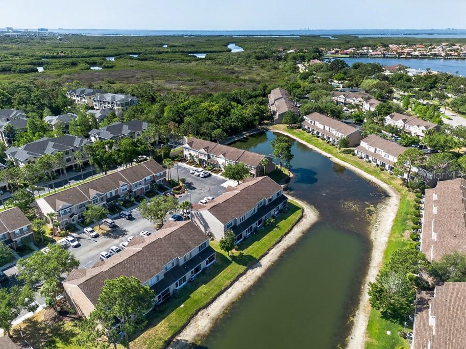 6353 Bayside Key Drive Tampa FL 33615 TB8502240 image36