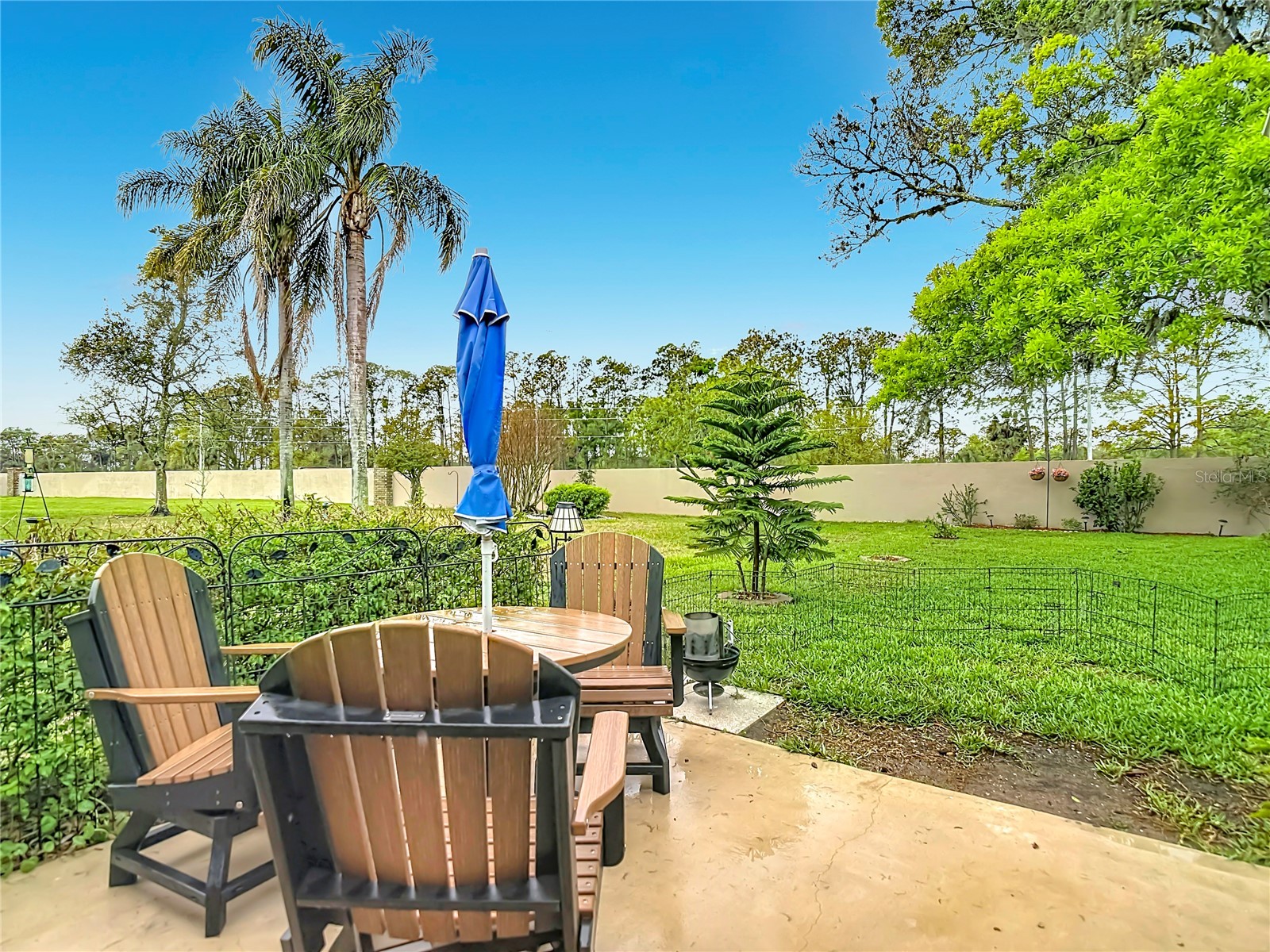 6353 Cardinal Crest Drive New Port Richey FL 34655 TB8486738 image48