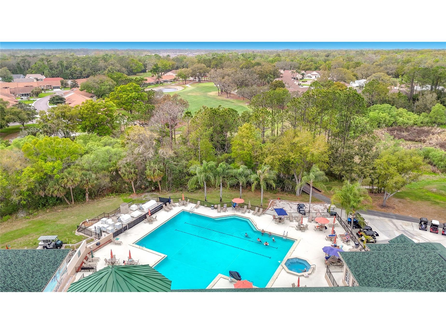 6353 Cardinal Crest Drive New Port Richey FL 34655 TB8486738 image60