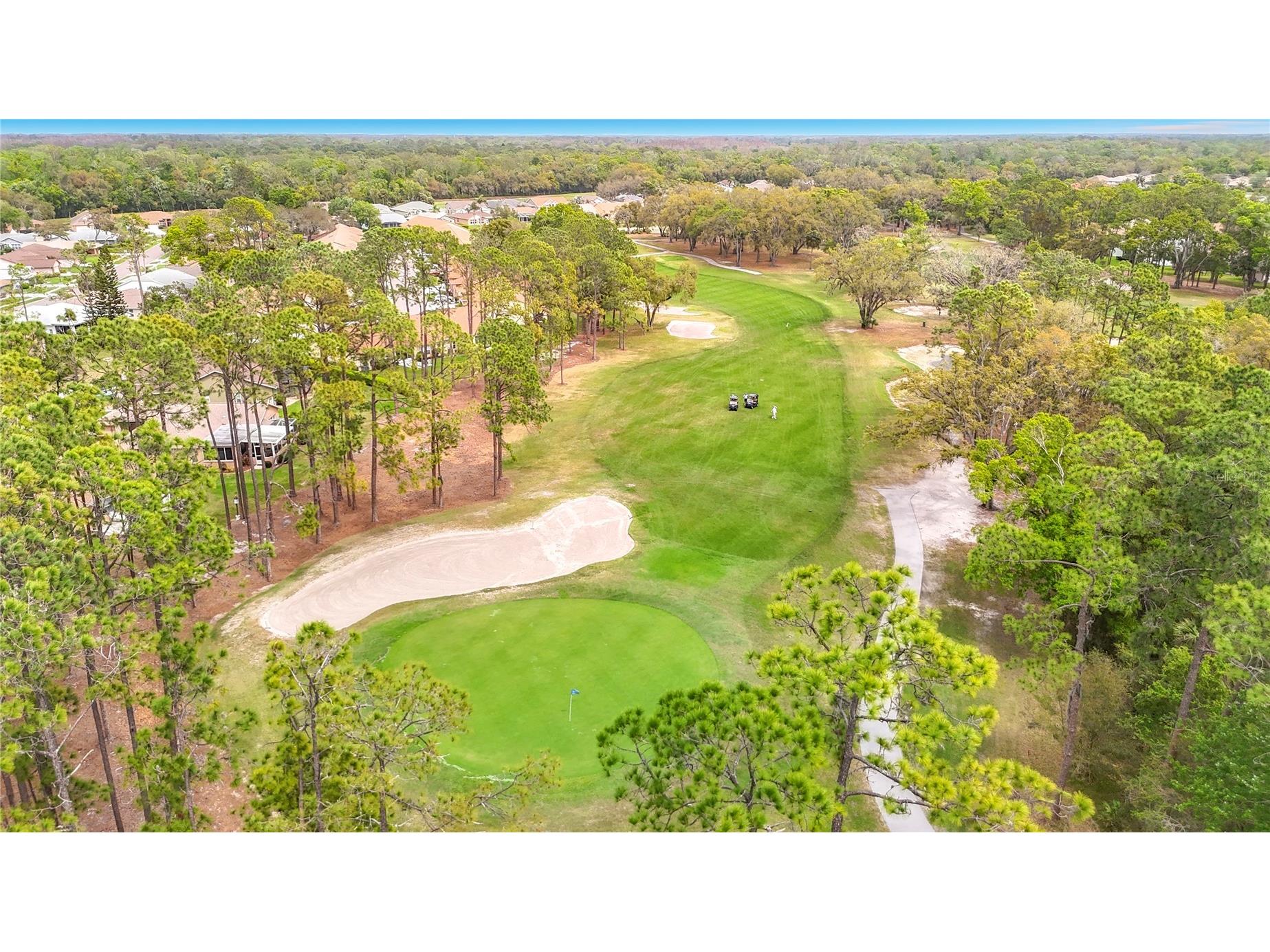 6353 Cardinal Crest Drive New Port Richey FL 34655 TB8486738 image66