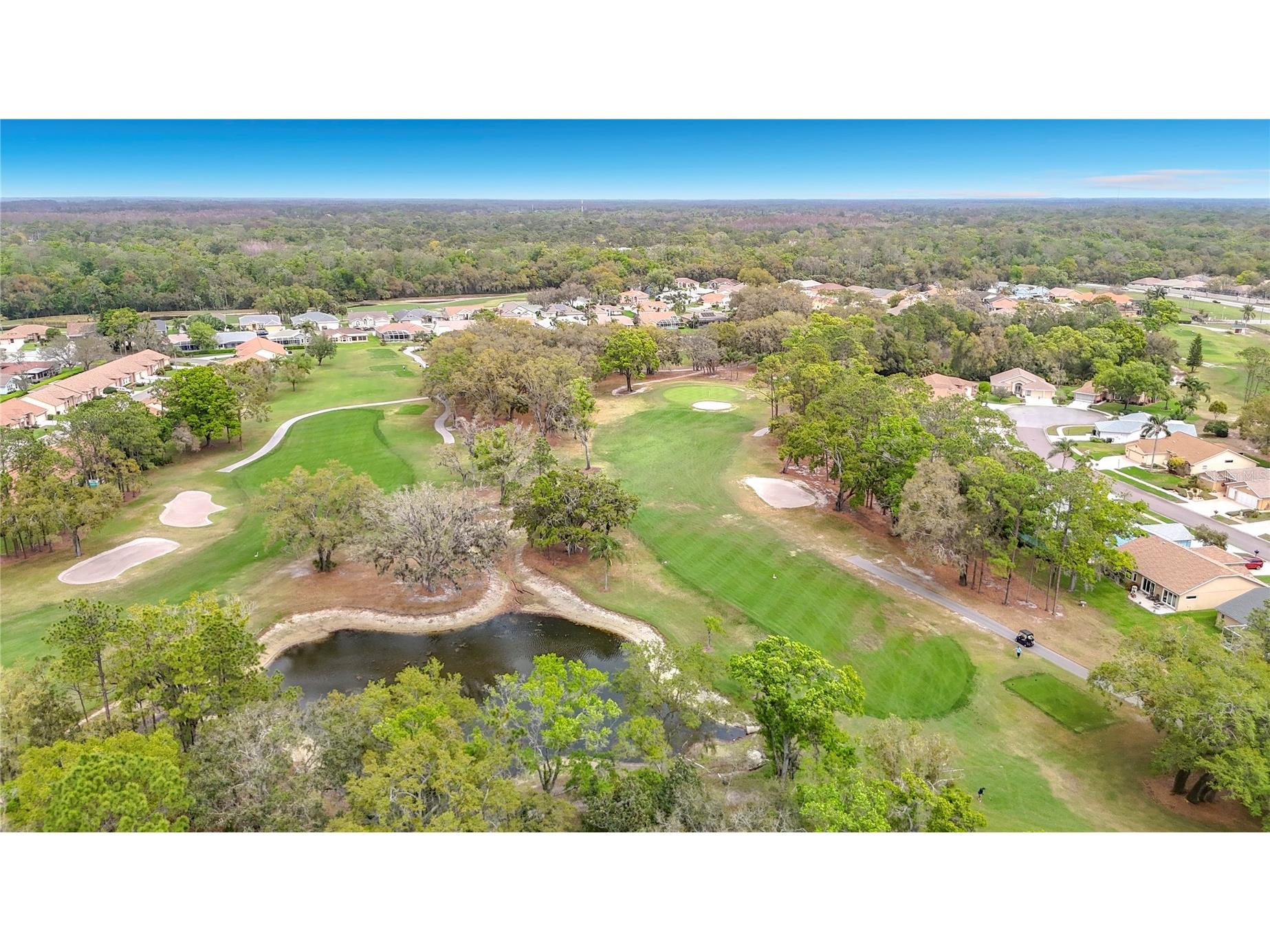 6353 Cardinal Crest Drive New Port Richey FL 34655 TB8486738 image67
