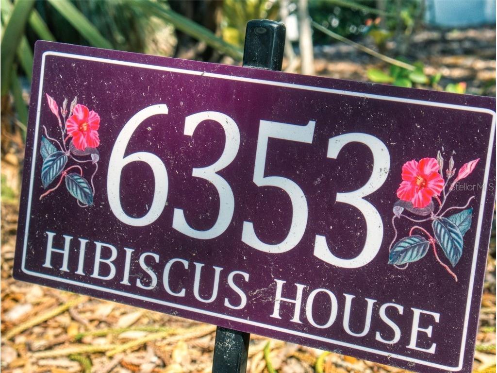 6353 River Road New Smyrna Beach FL 32169 O6345729 image42