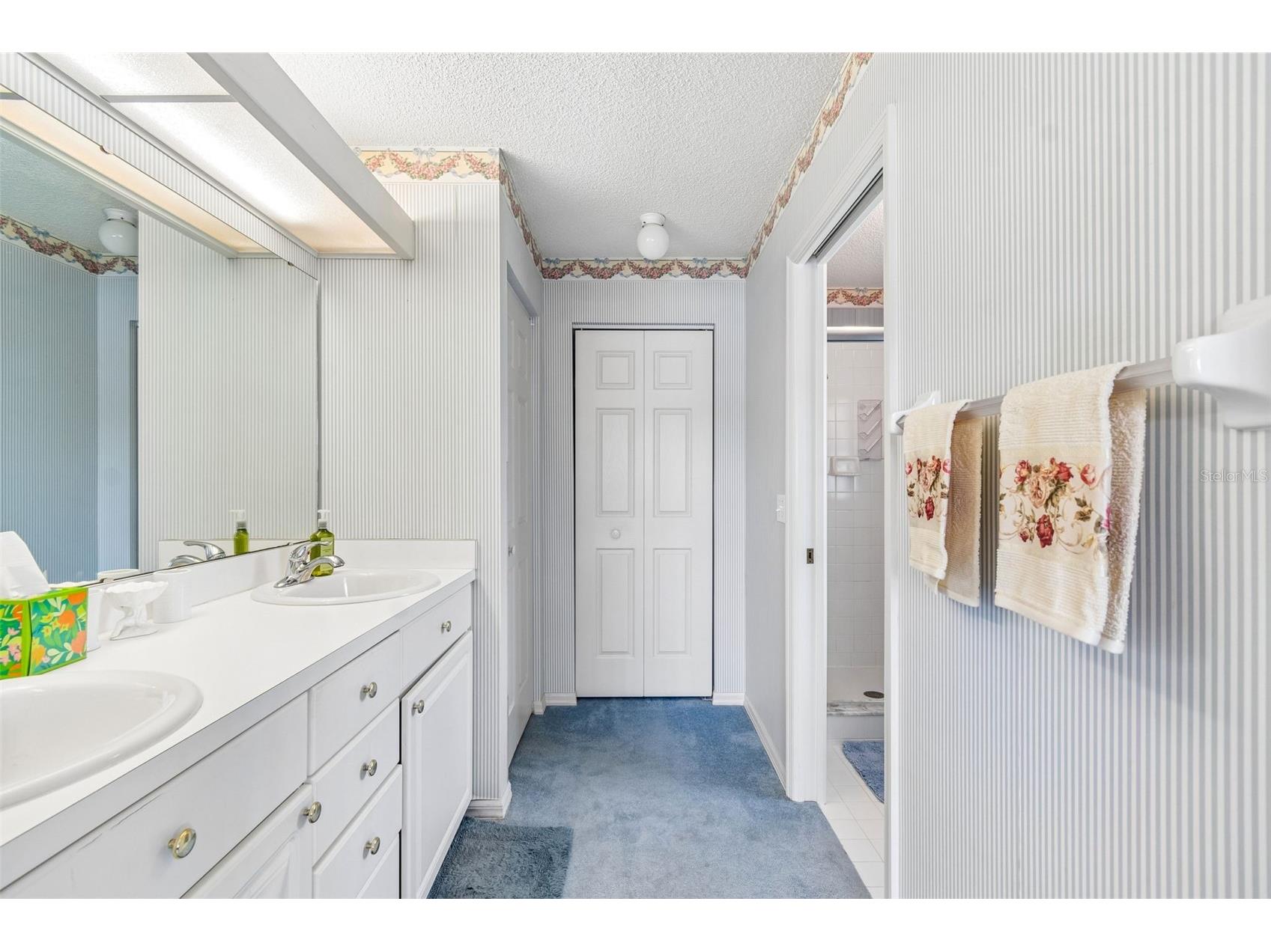 6353 Silver Lakes Drive W Lakeland FL 33810 TB8521172 image31