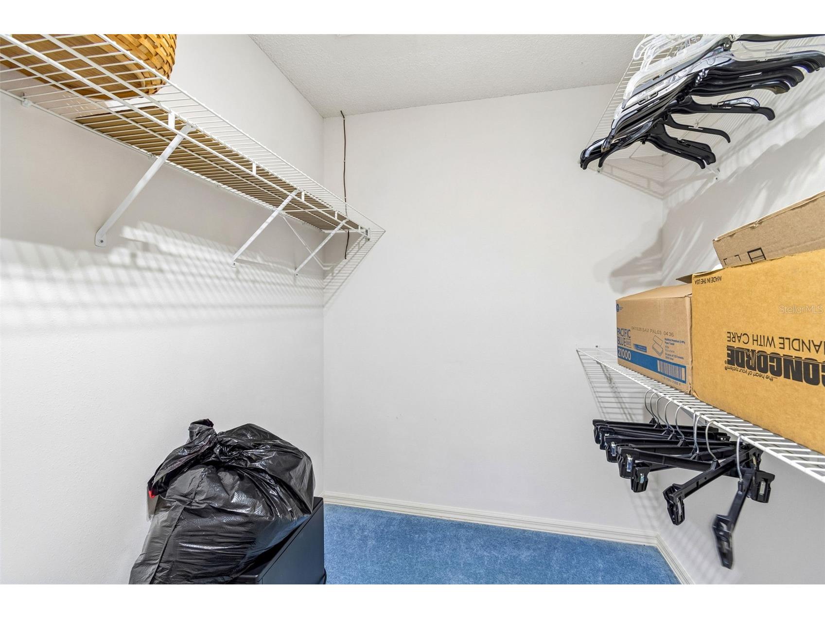 6353 Silver Lakes Drive W Lakeland FL 33810 TB8521172 image35
