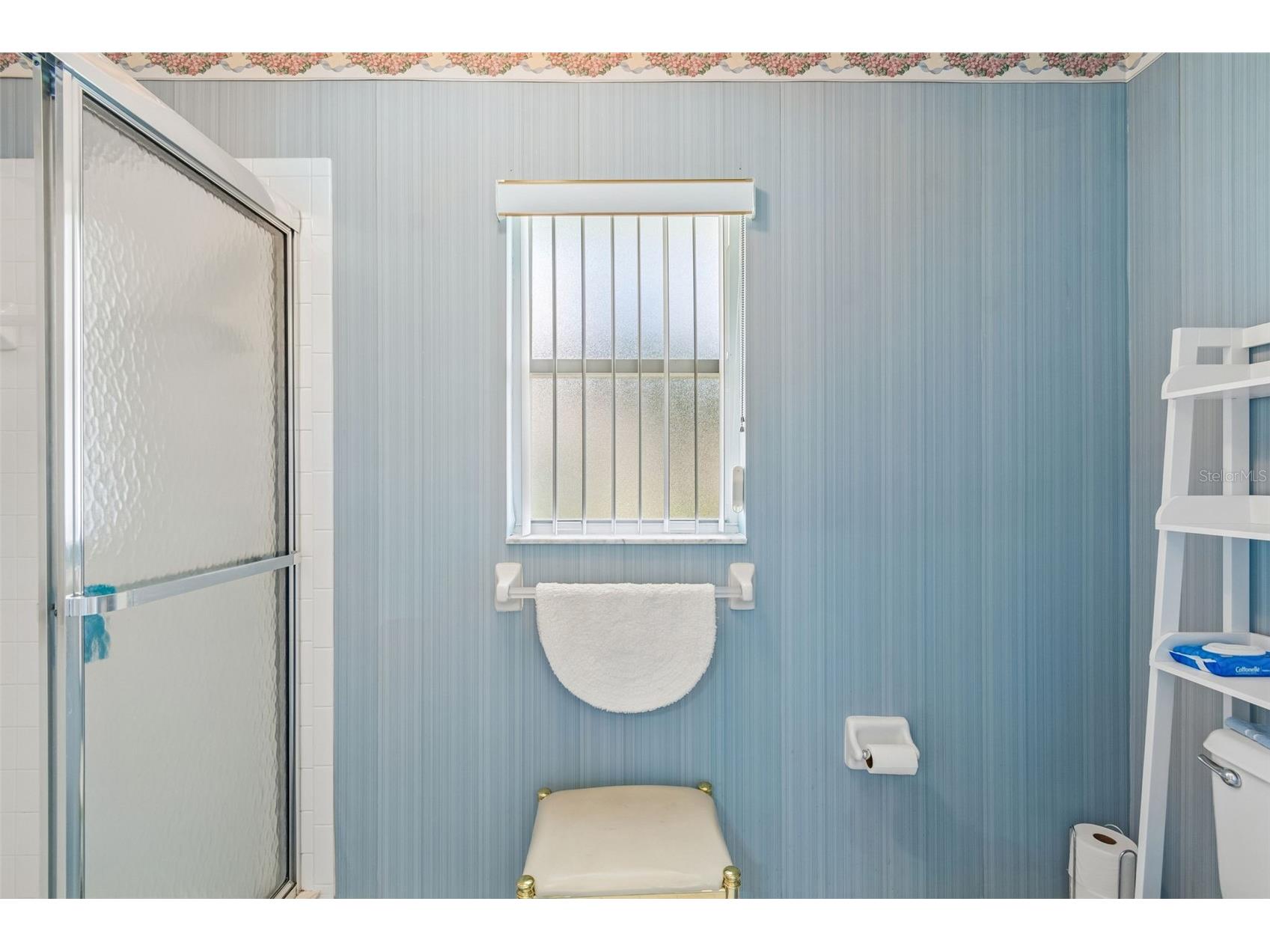 6353 Silver Lakes Drive W Lakeland FL 33810 TB8521172 image37