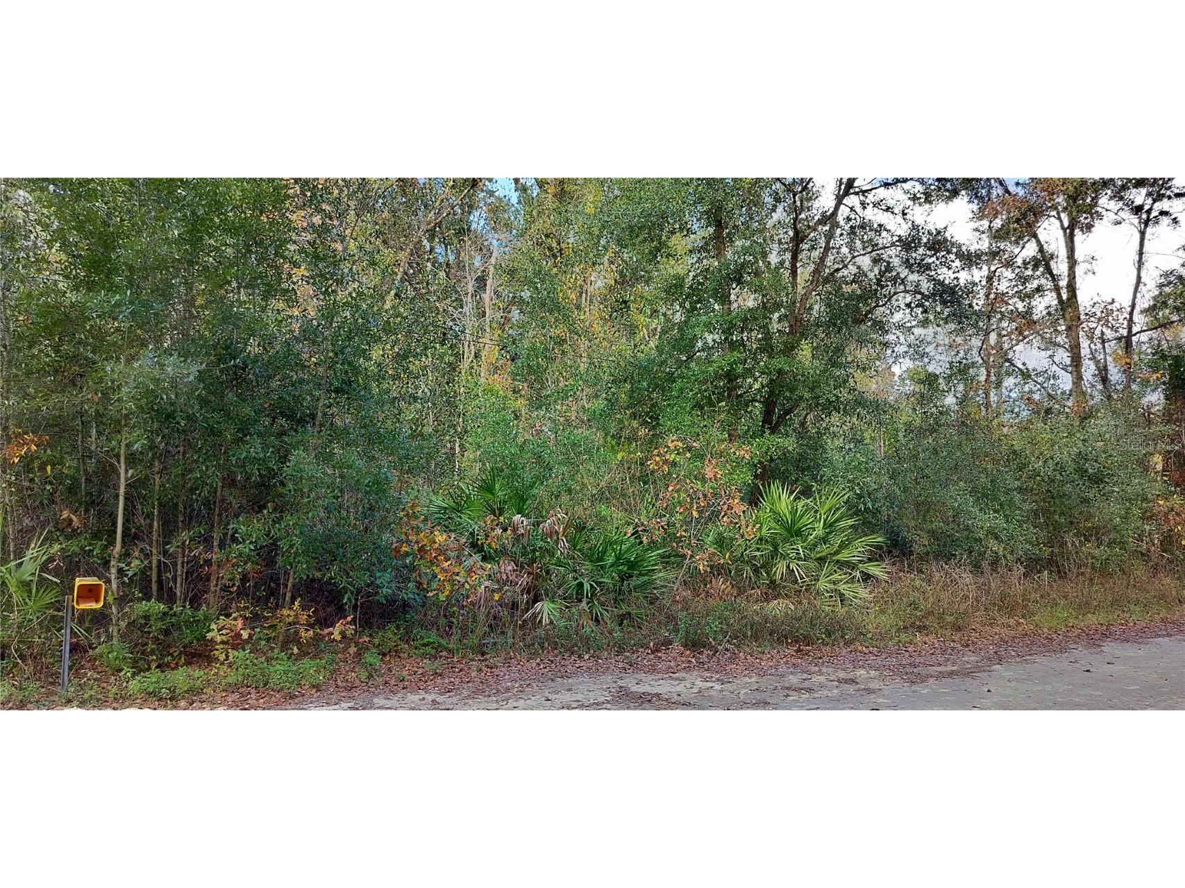 6353 W Country Club Drive Homosassa FL 34448 TB8330443 image1