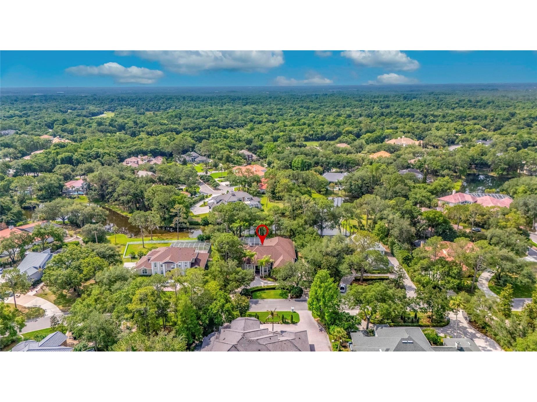 6353 W Maclaurin Drive Tampa FL 33647 TB8507787 image82