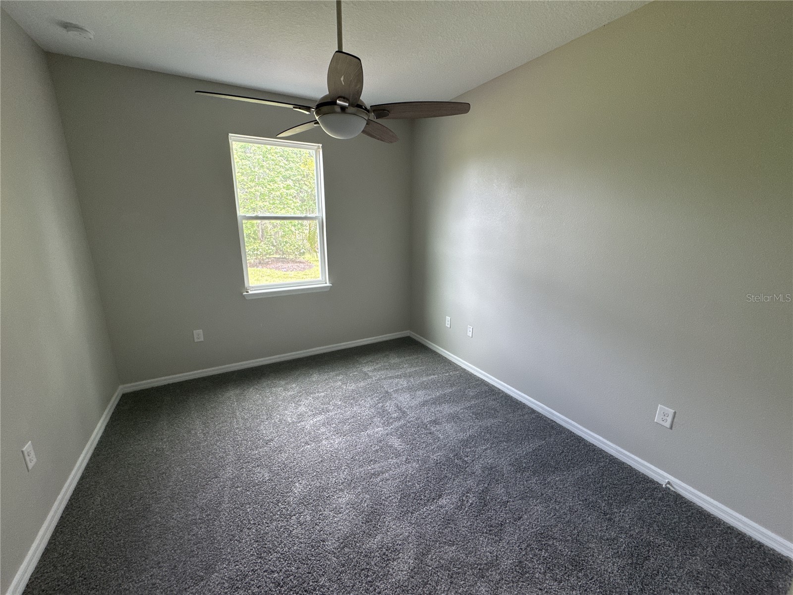 6356 Mighty Eagle Way Sarasota FL 34241 C7526445 image17