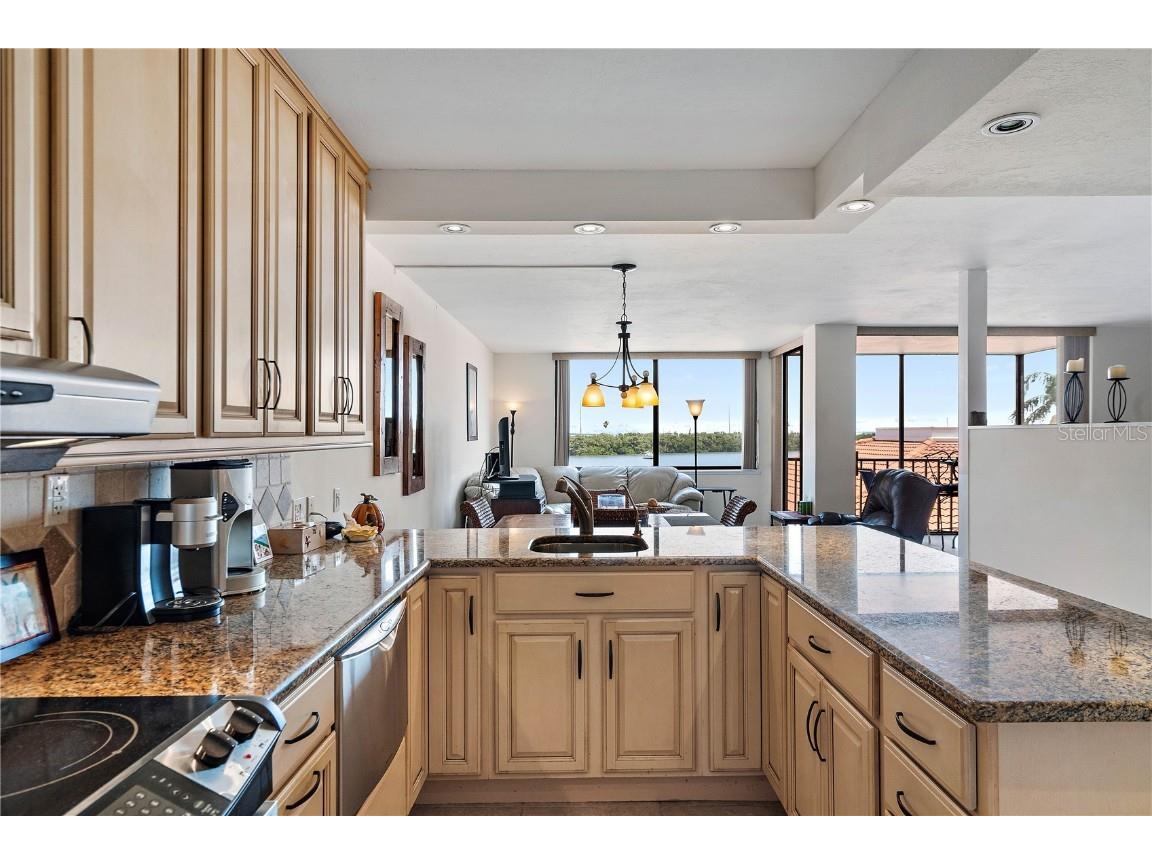 6357 Bahia Del Mar Boulevard #307 Saint Petersburg FL 33715 U8243532 image4