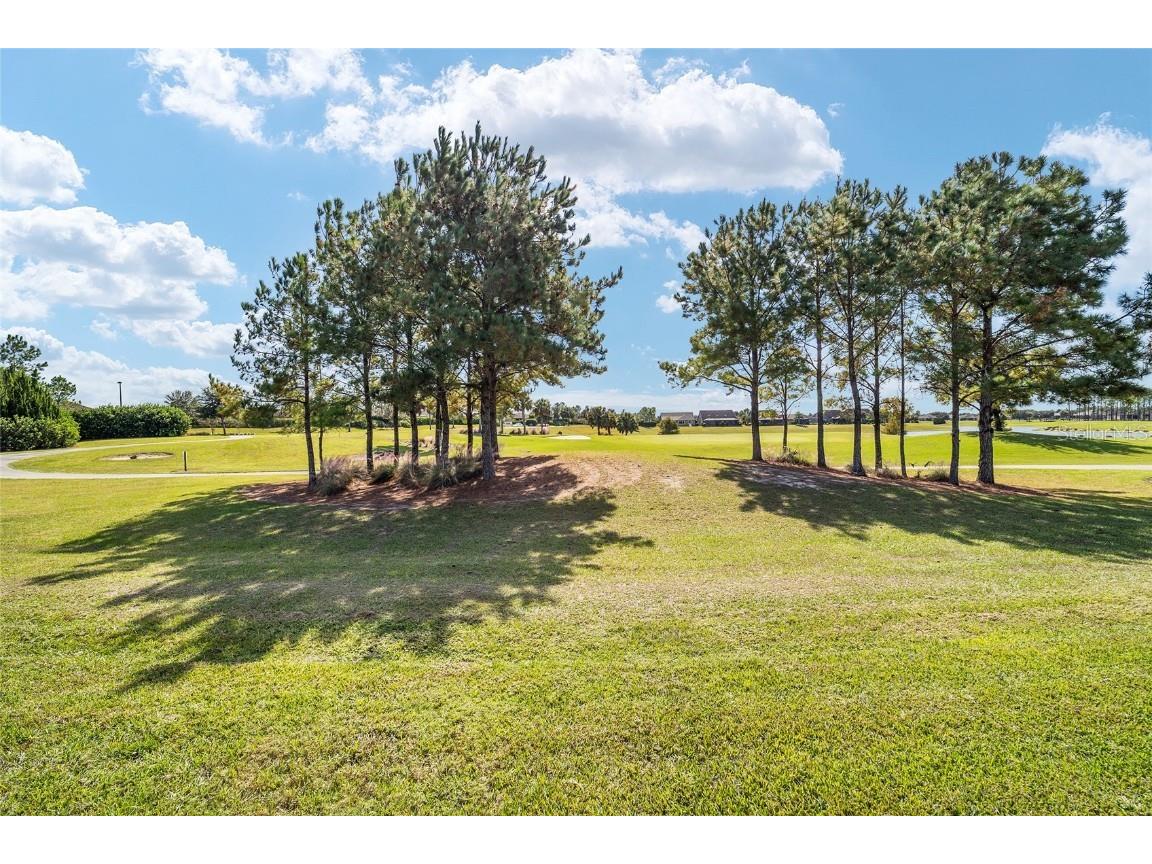 6357 SW 97th Terrace Road Ocala FL 34481 OM712174 image39