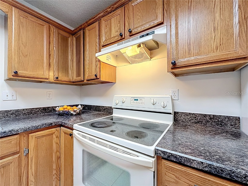 6359 S Lewdingar Drive Homosassa FL 34446 O6363977 image20