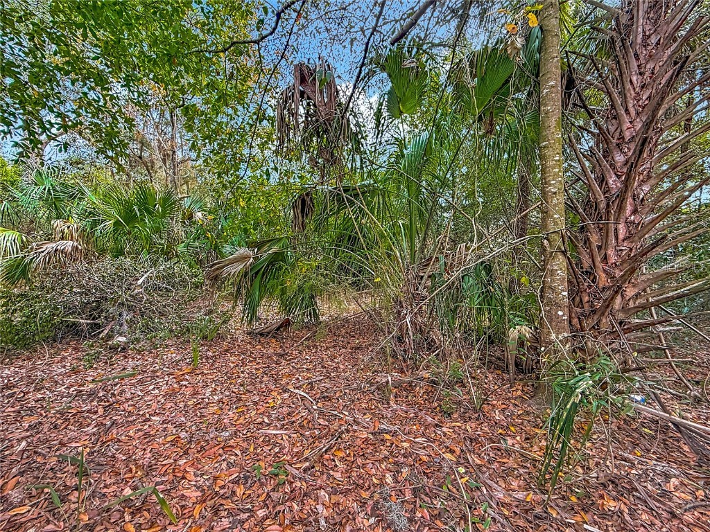 6359 S Lewdingar Drive Homosassa FL 34446 O6363977 image48