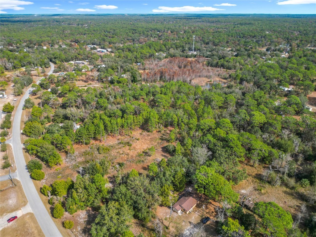 6359 S Lewdingar Drive Homosassa FL 34446 O6363977 image55