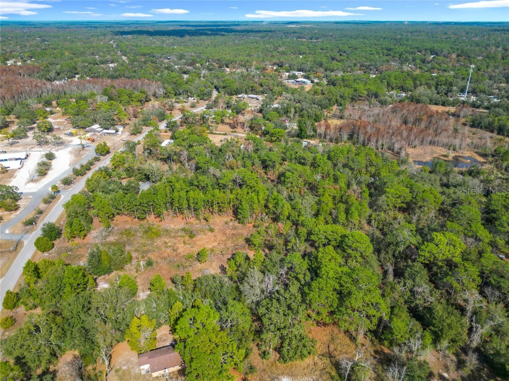 6359 S Lewdingar Drive Homosassa FL 34446 O6363977 image56