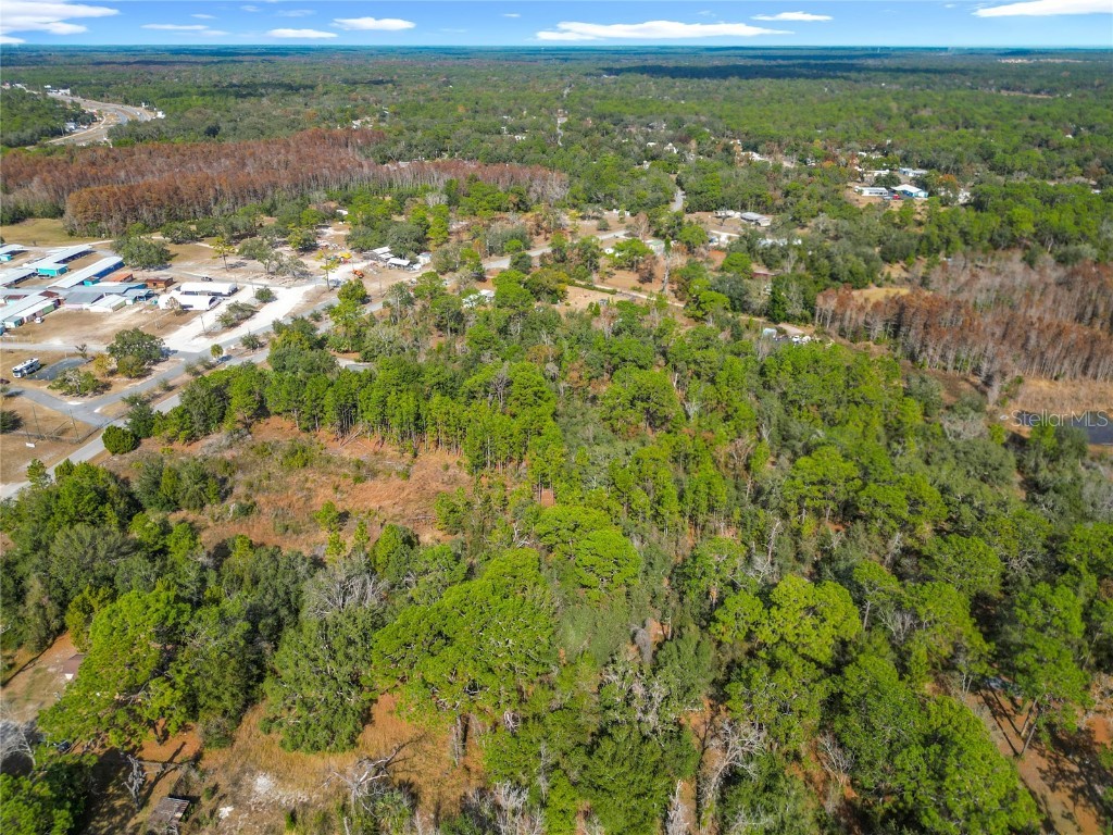 6359 S Lewdingar Drive Homosassa FL 34446 O6363977 image57