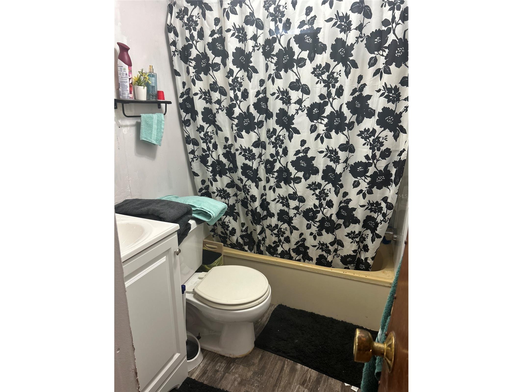 6359 Vassar Drive Keystone Heights FL 32656 P4938604 image11