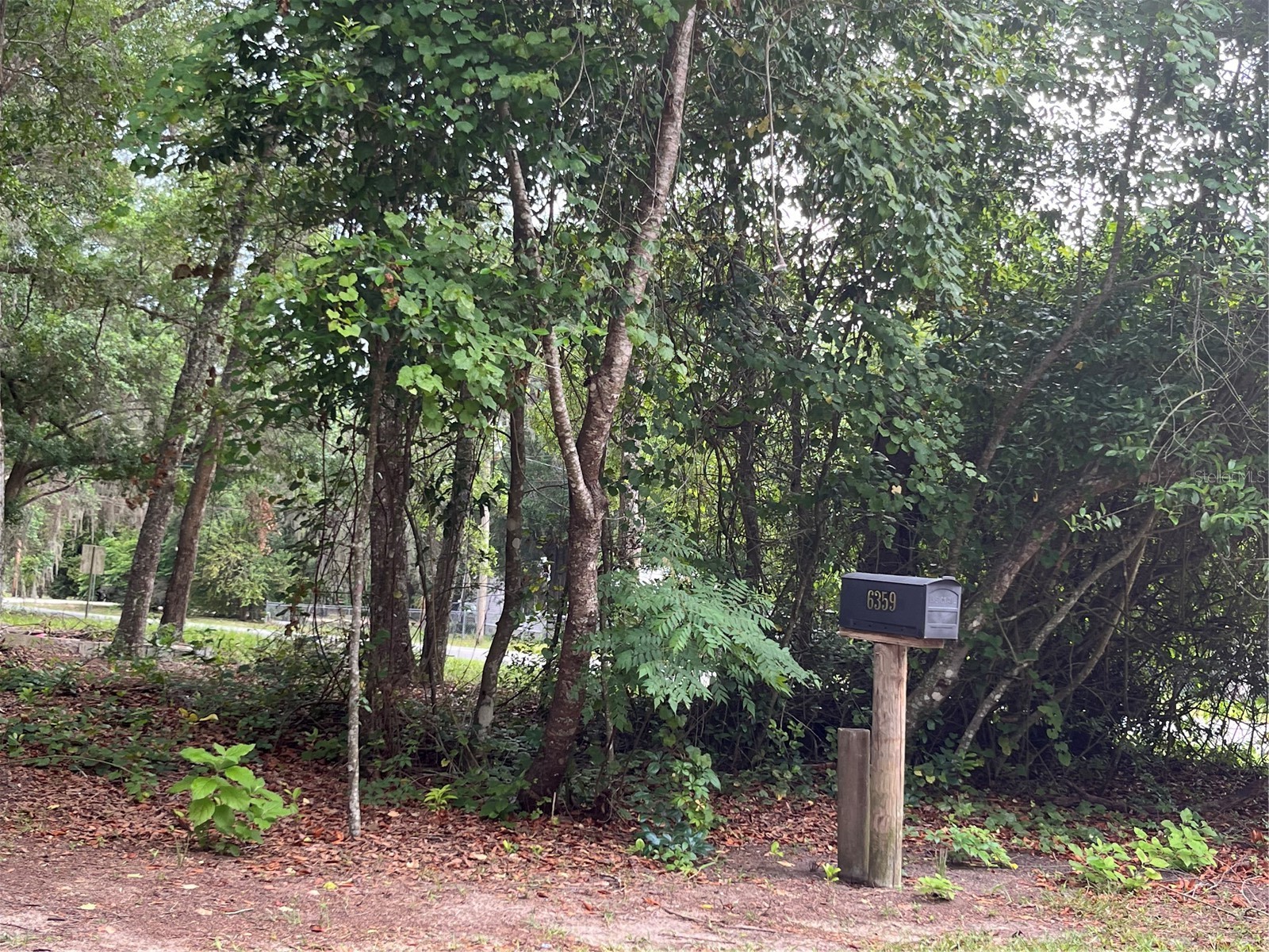 6359 Vassar Drive Keystone Heights FL 32656 P4938604 image13