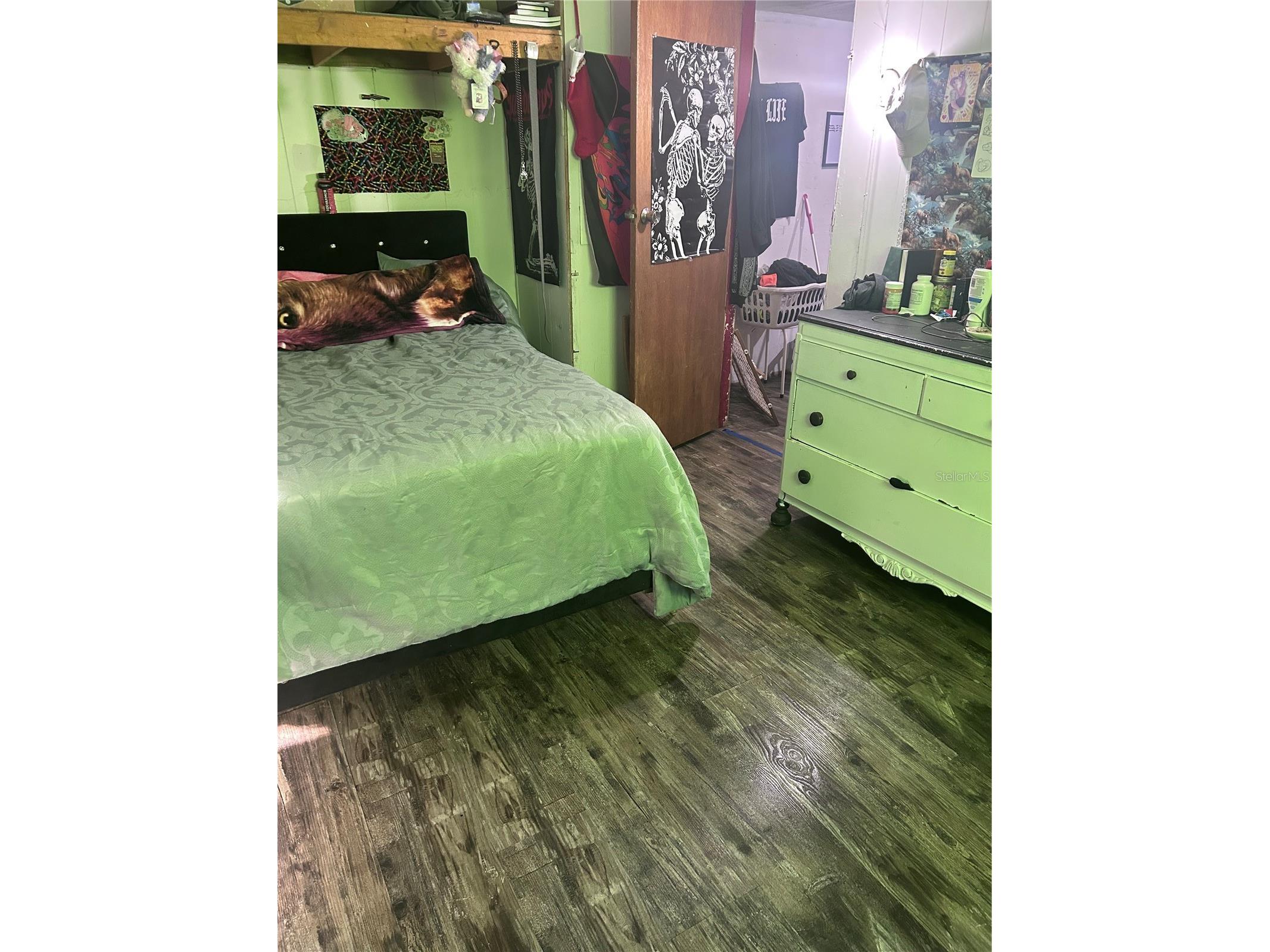 6359 Vassar Drive Keystone Heights FL 32656 P4938604 image5