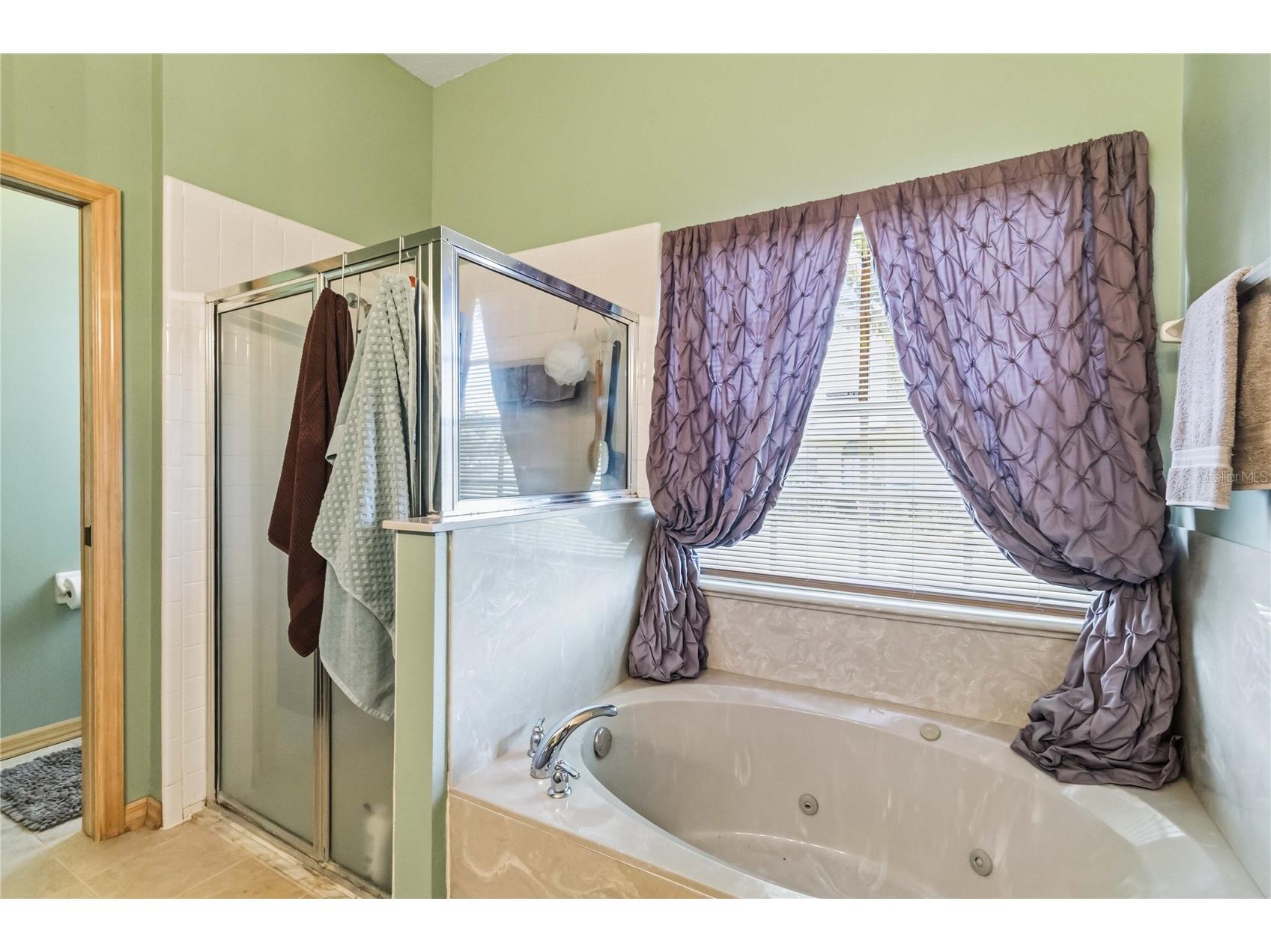 636 Adriane Park Circle Kissimmee FL 34744 S5150339 image23