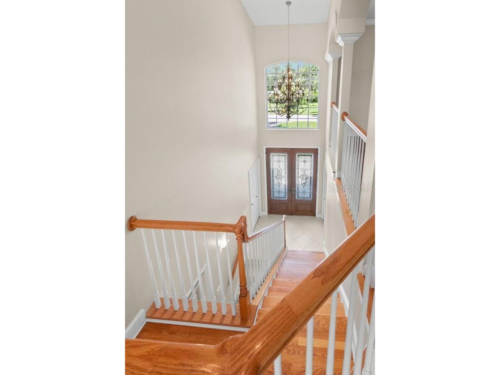 636 Bayshore Drive Tarpon Springs FL 34689 - KREAMER BAYOU TB8416926 image17