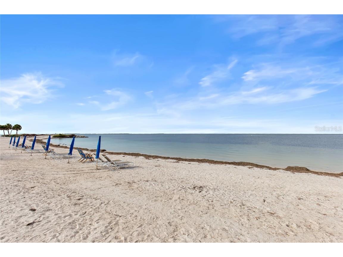 636 Bayshore Drive Tarpon Springs FL 34689 - KREAMER BAYOU TB8416926 image76