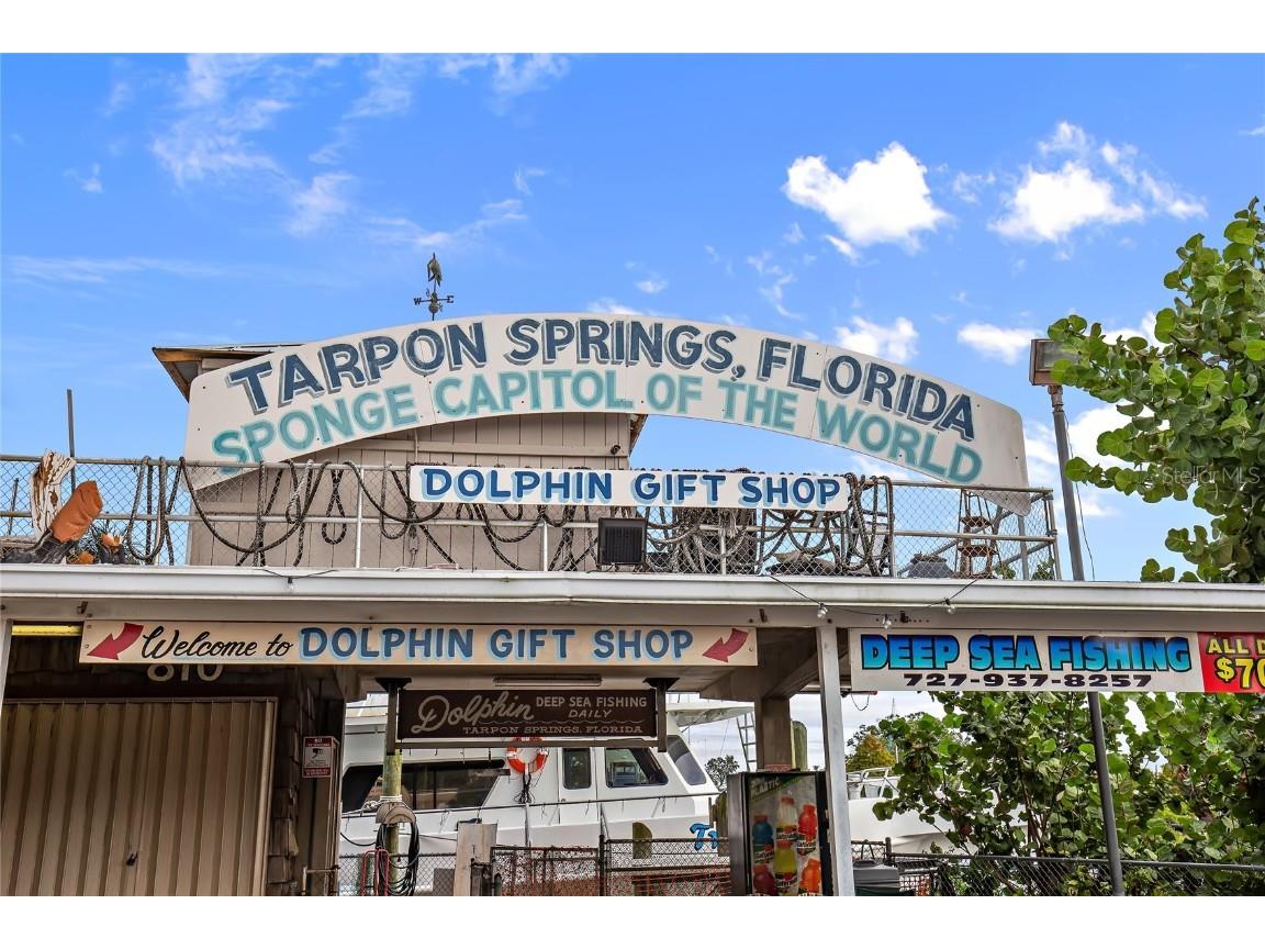 636 Bayshore Drive Tarpon Springs FL 34689 - KREAMER BAYOU TB8416926 image78