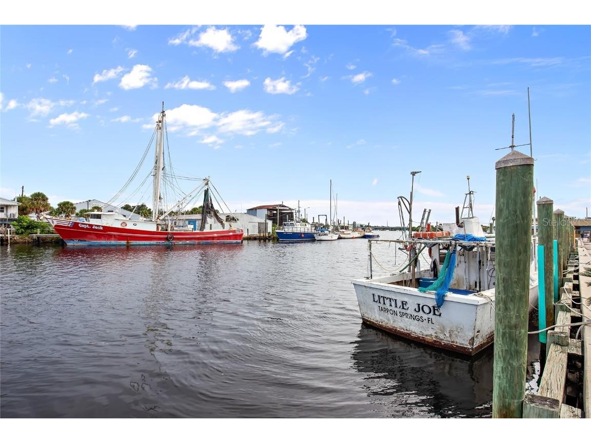 636 Bayshore Drive Tarpon Springs FL 34689 - KREAMER BAYOU TB8416926 image79