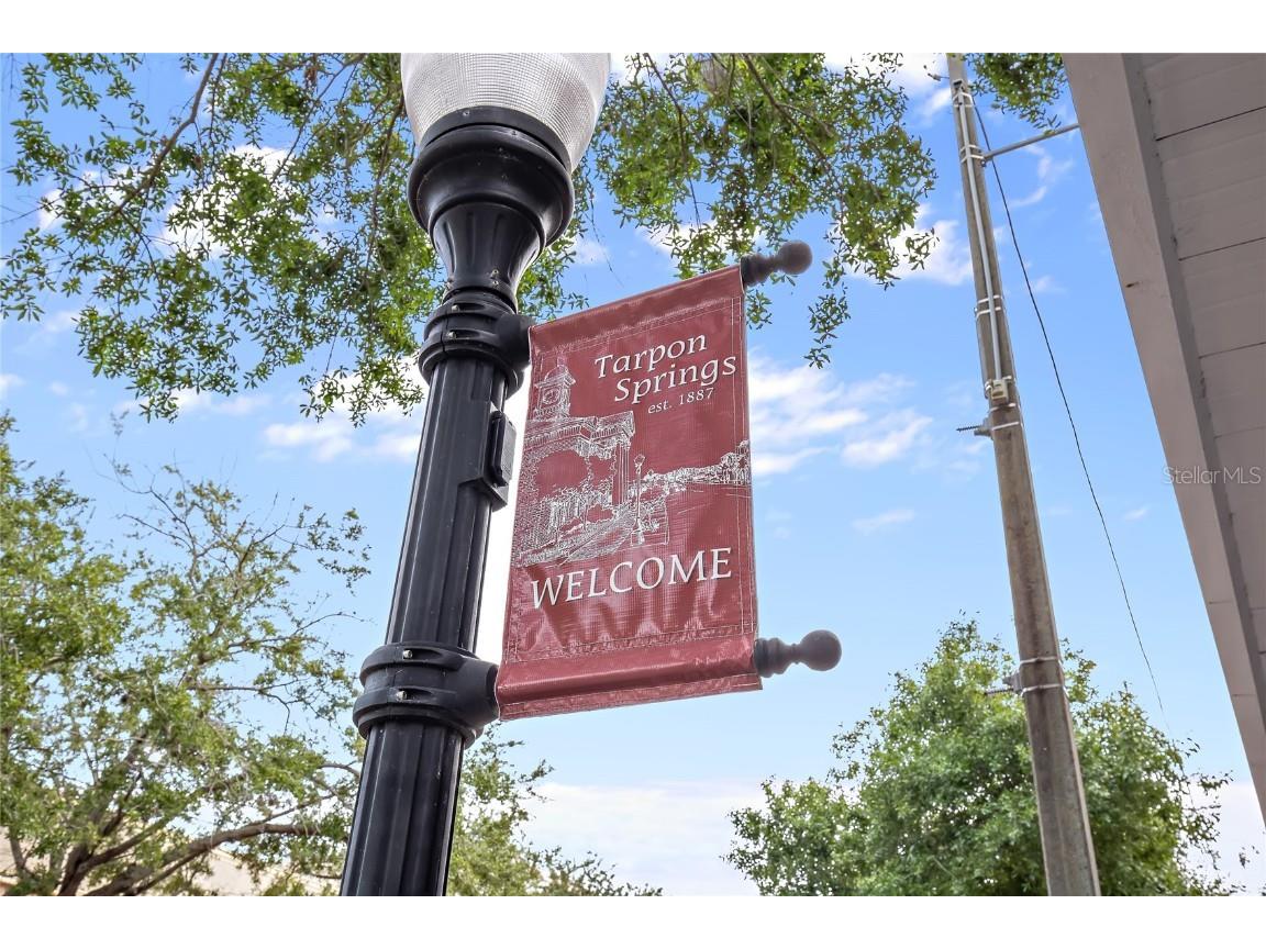 636 Bayshore Drive Tarpon Springs FL 34689 - KREAMER BAYOU TB8416926 image82