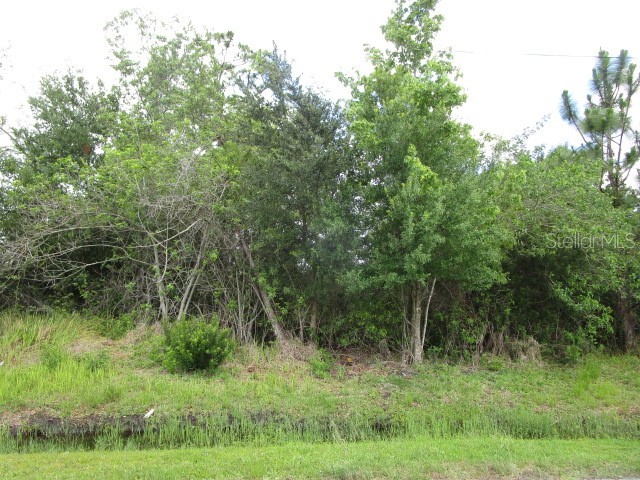 636 Jaguar Court Poinciana FL 34759 S5098065 image1