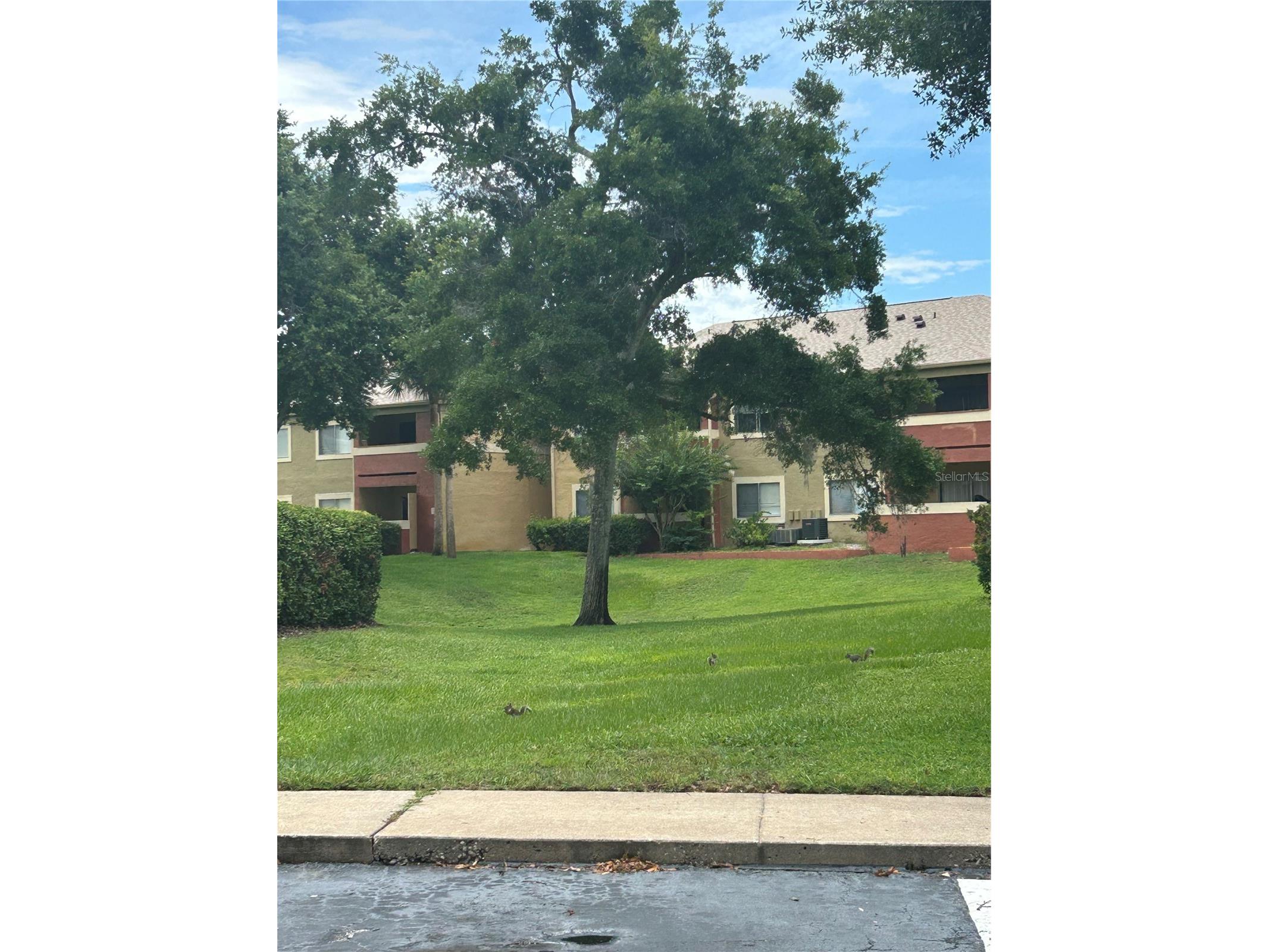 636 Kenwick Circle #105 Casselberry FL 32707 O6413066 image16