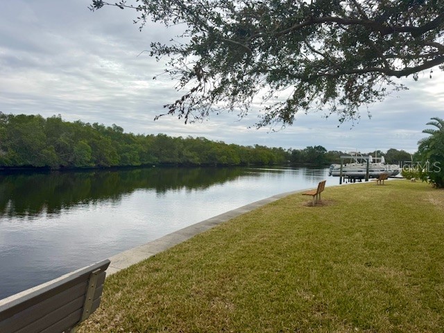 636 Mount Piney Avenue NE #702 Saint Petersburg FL 33702 TB8340360 image4
