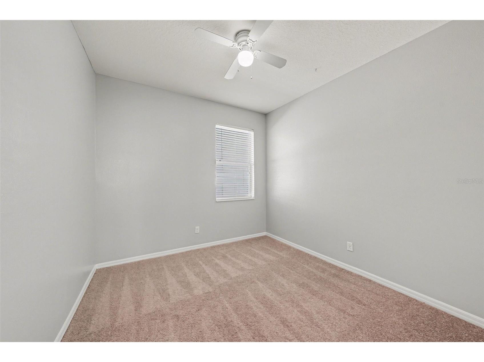 636 Tanana Fall Drive Ruskin FL 33570 TB8498403 image19