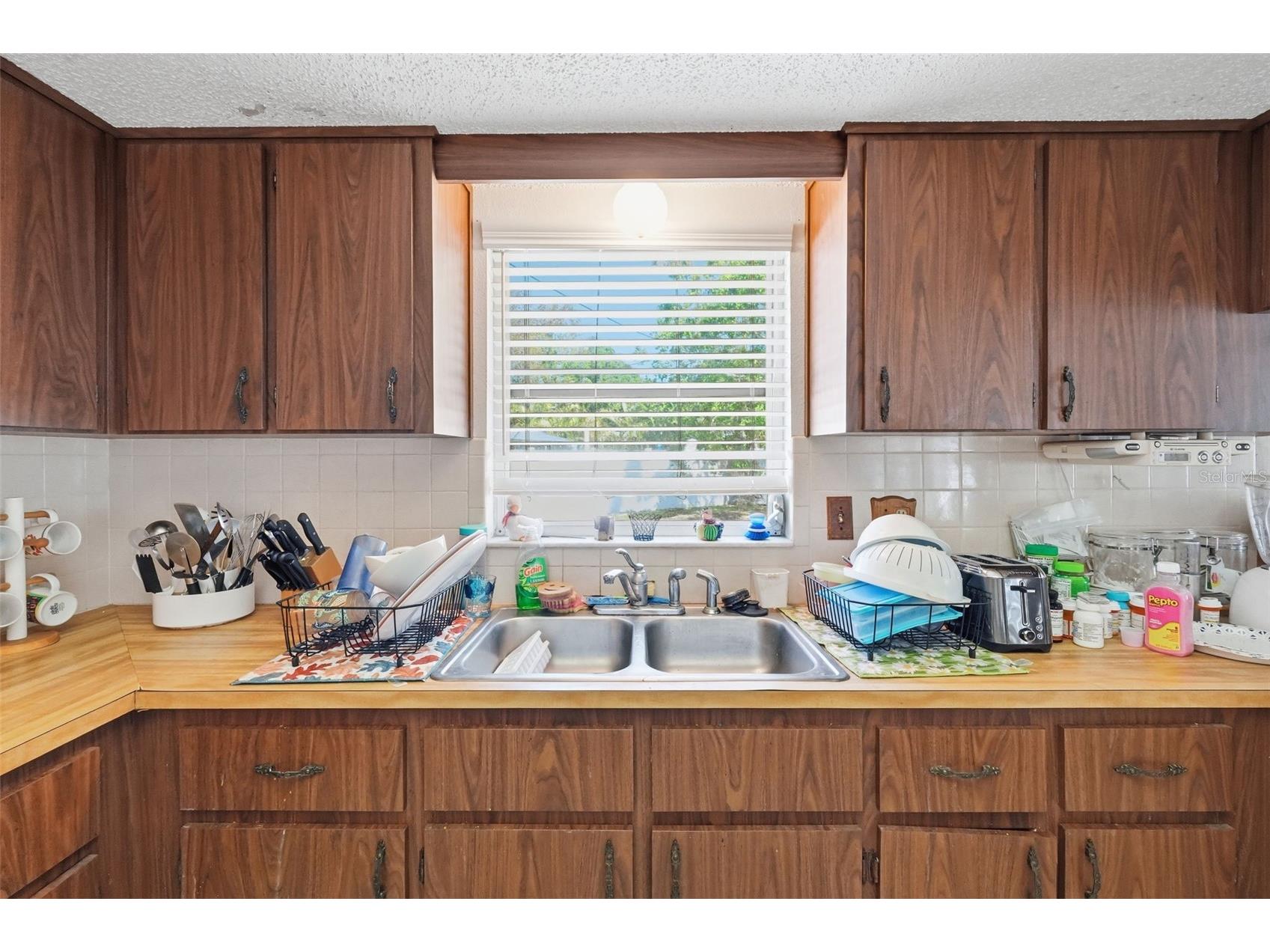 636 Tessier Court Tarpon Springs FL 34689 TB8497212 image14