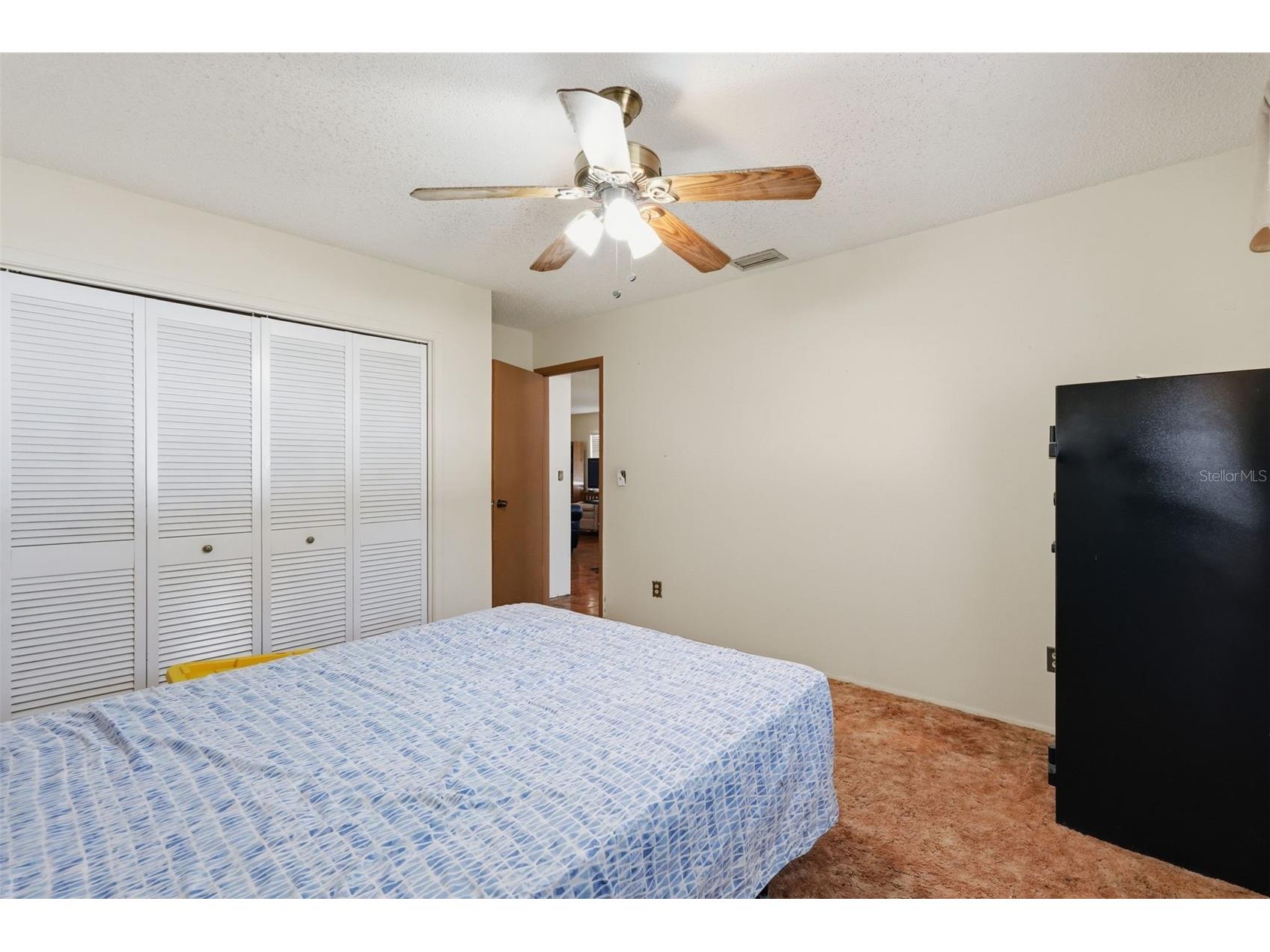 636 Tessier Court Tarpon Springs FL 34689 TB8497212 image23