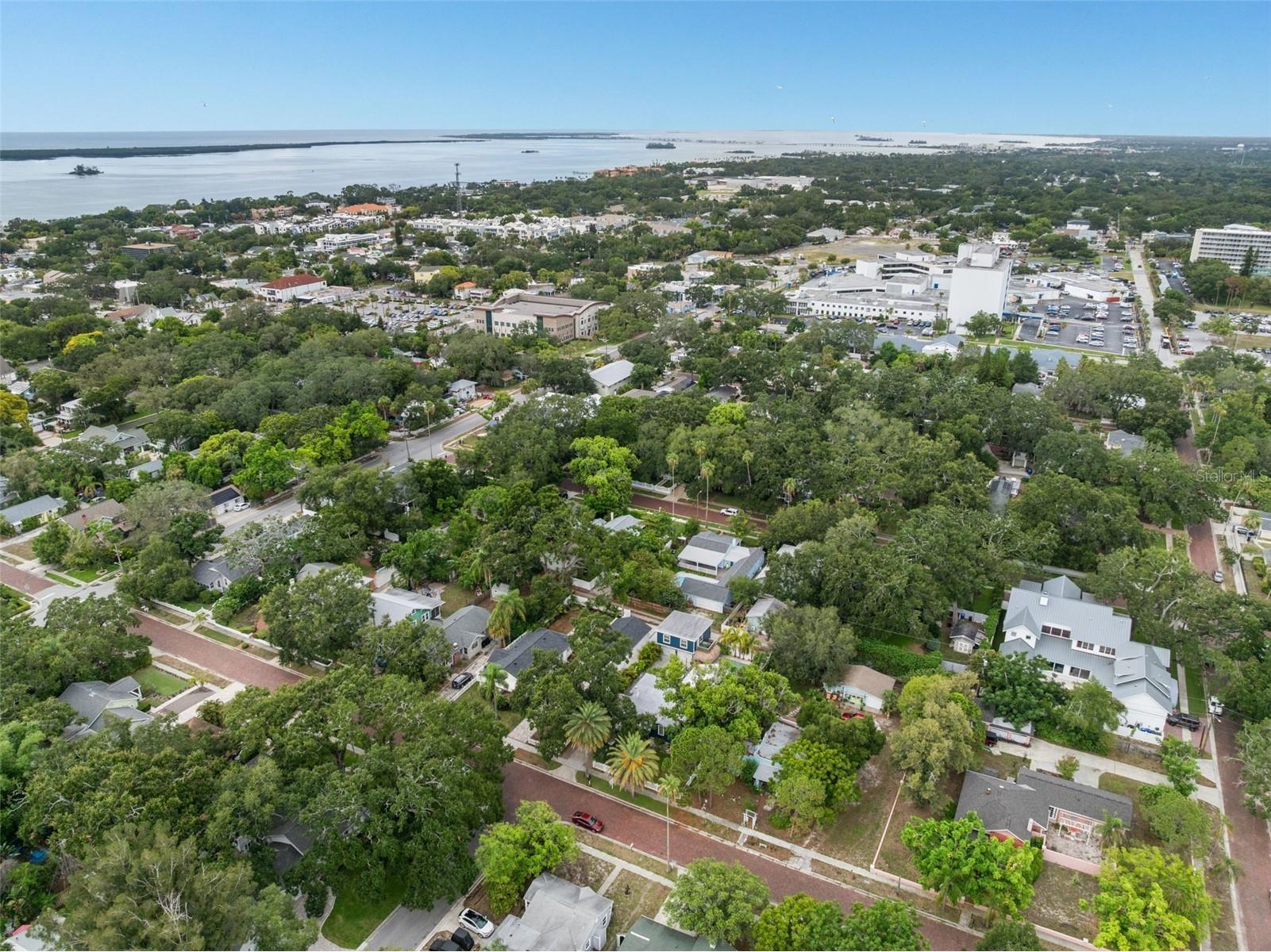 636 Wilkie Street Dunedin FL 34698 TB8525249 image50
