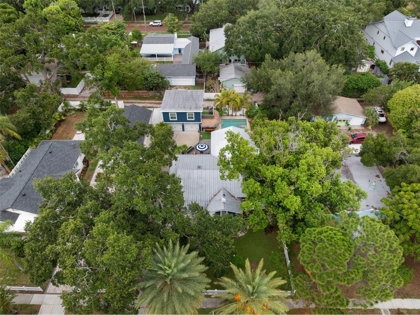 636 Wilkie Street Dunedin FL 34698 TB8525249 image51