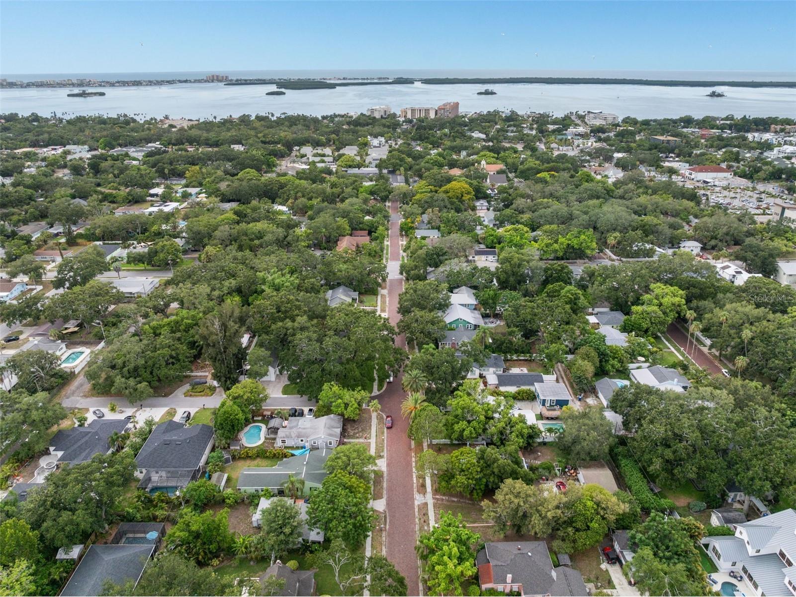 636 Wilkie Street Dunedin FL 34698 TB8525249 image54