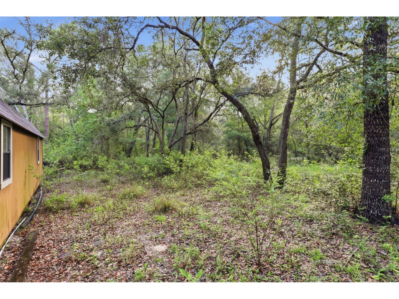 6360 Arizona Street Brooksville FL 34604 OM726287 image13