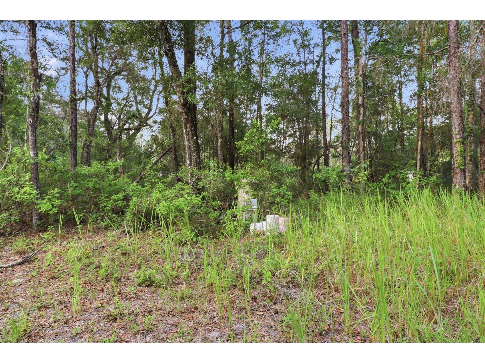 6360 Arizona Street Brooksville FL 34604 OM726287 image15