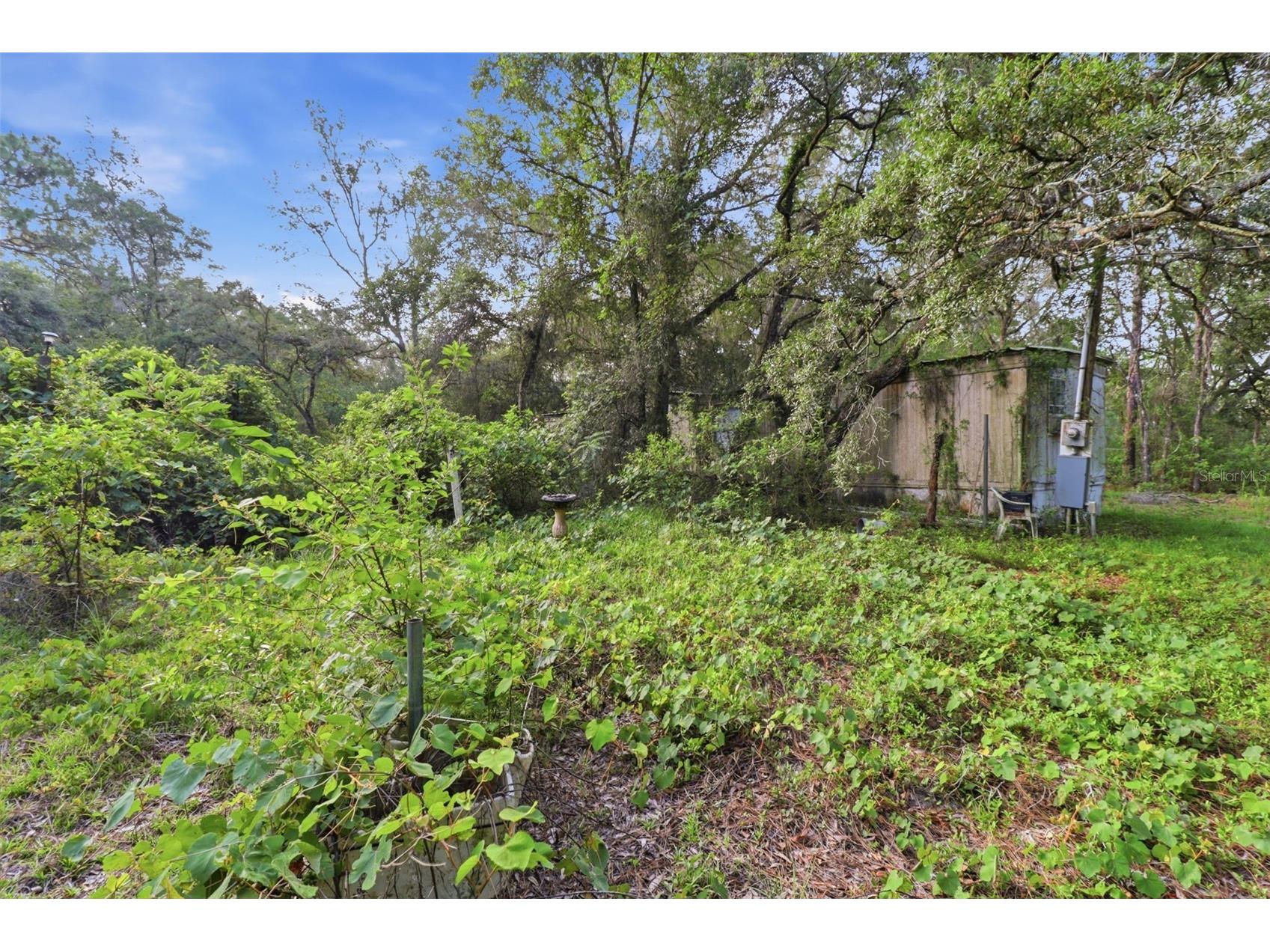 6360 Arizona Street Brooksville FL 34604 OM726287 image17