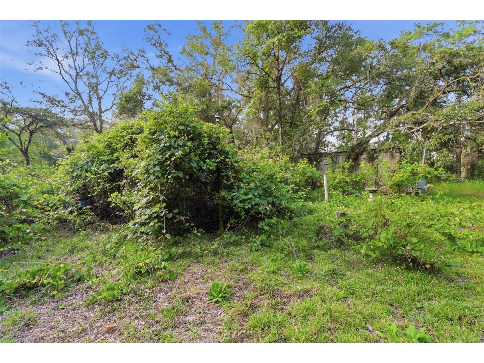 6360 Arizona Street Brooksville FL 34604 OM726287 image19