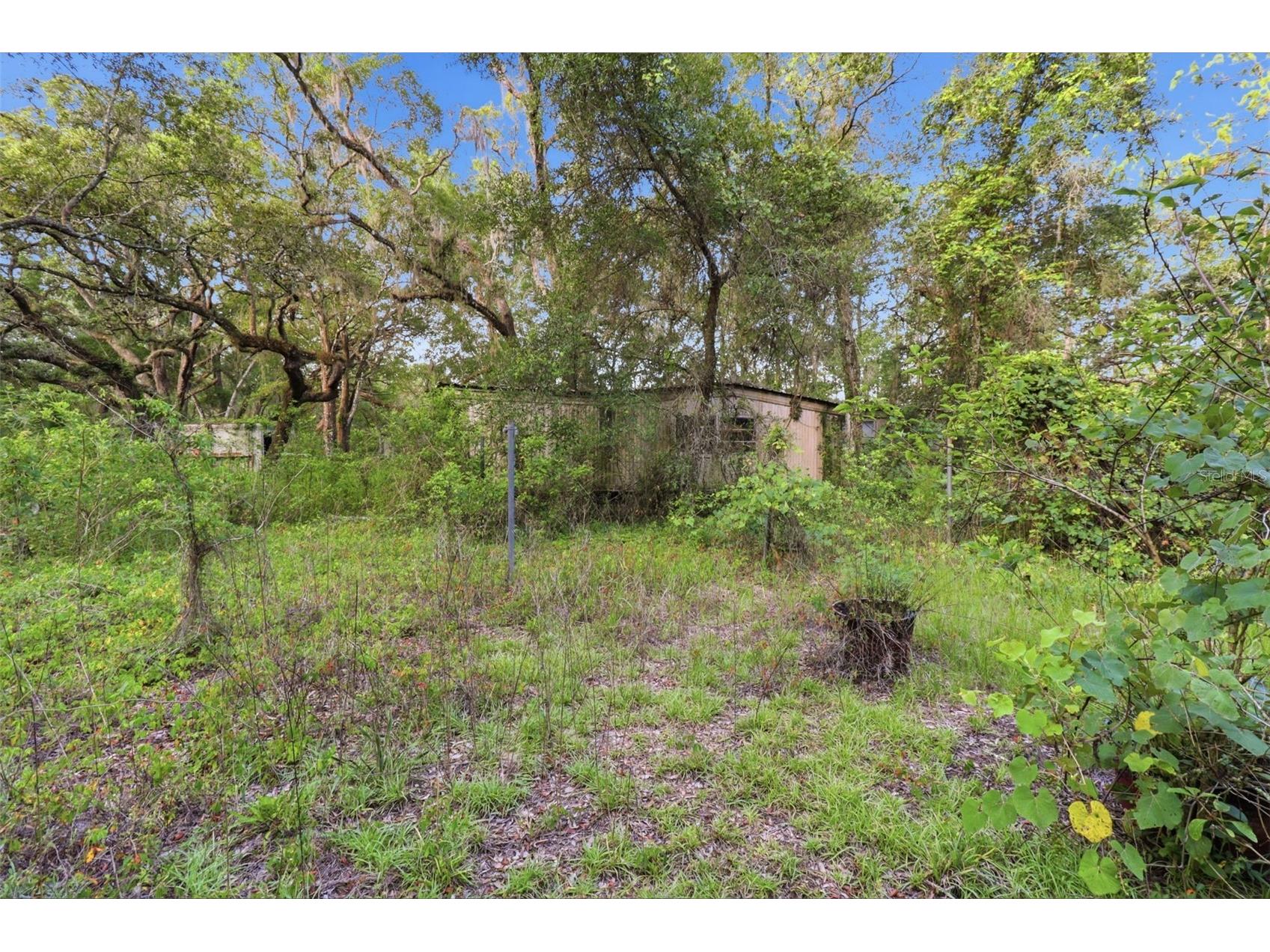 6360 Arizona Street Brooksville FL 34604 OM726287 image21