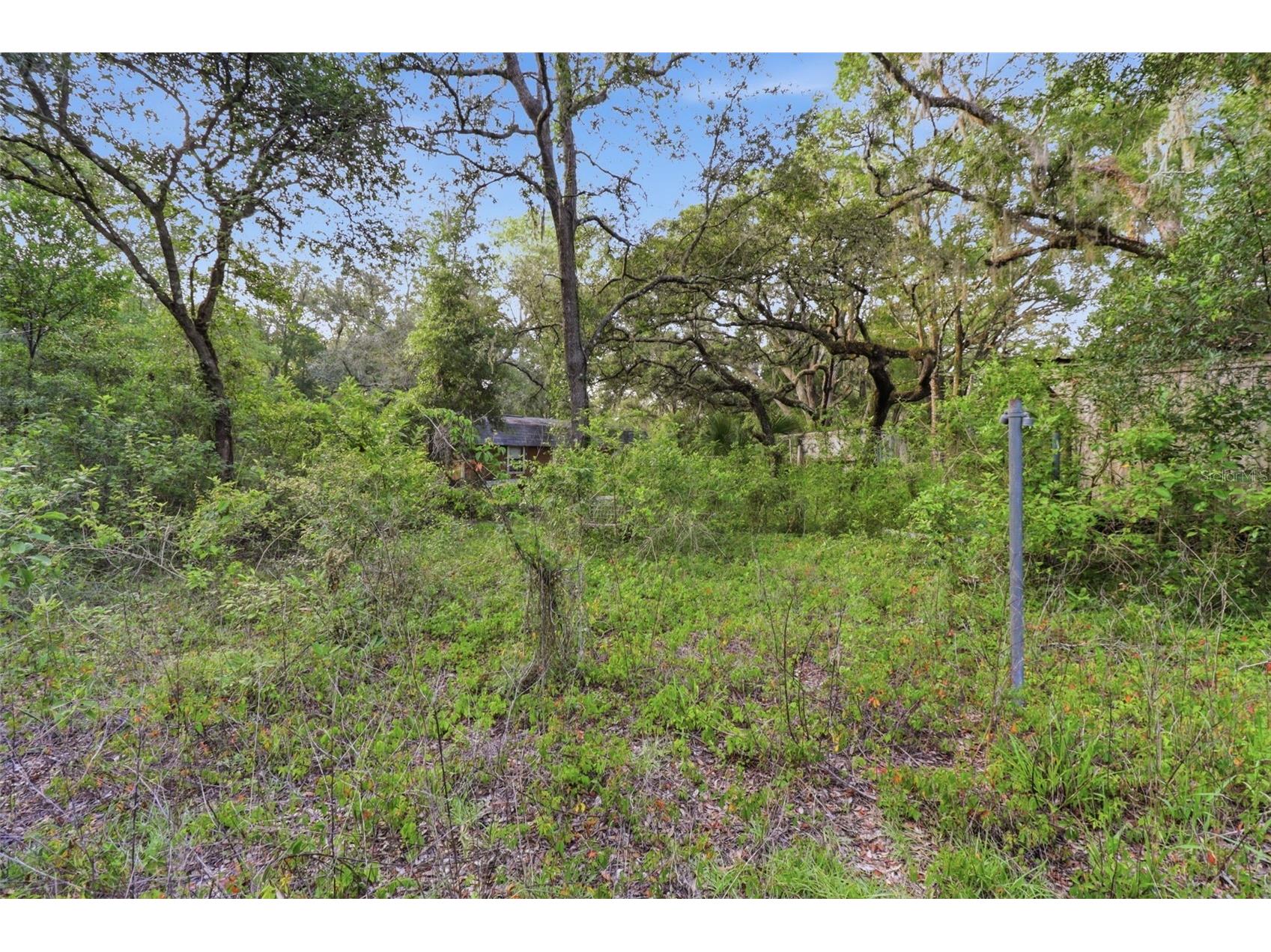 6360 Arizona Street Brooksville FL 34604 OM726287 image22