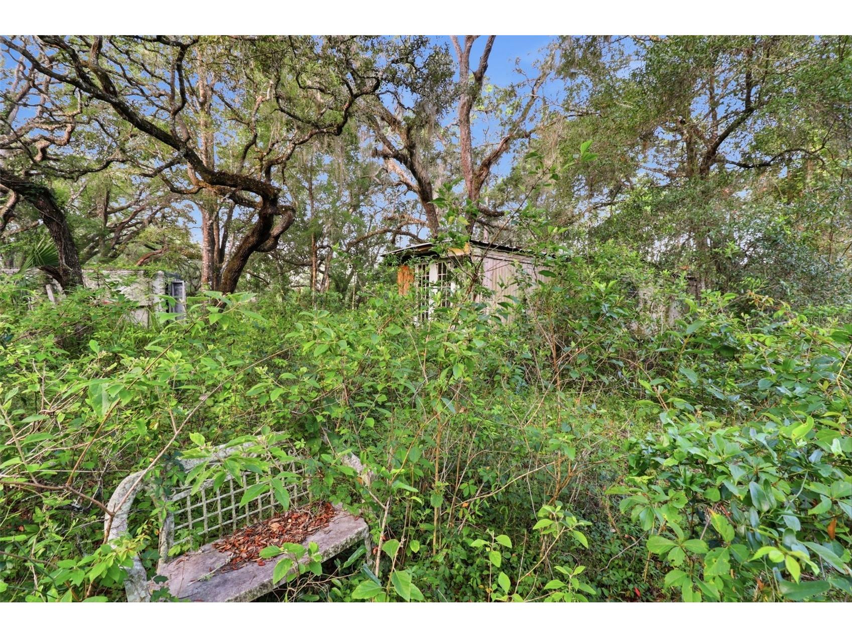 6360 Arizona Street Brooksville FL 34604 OM726287 image23