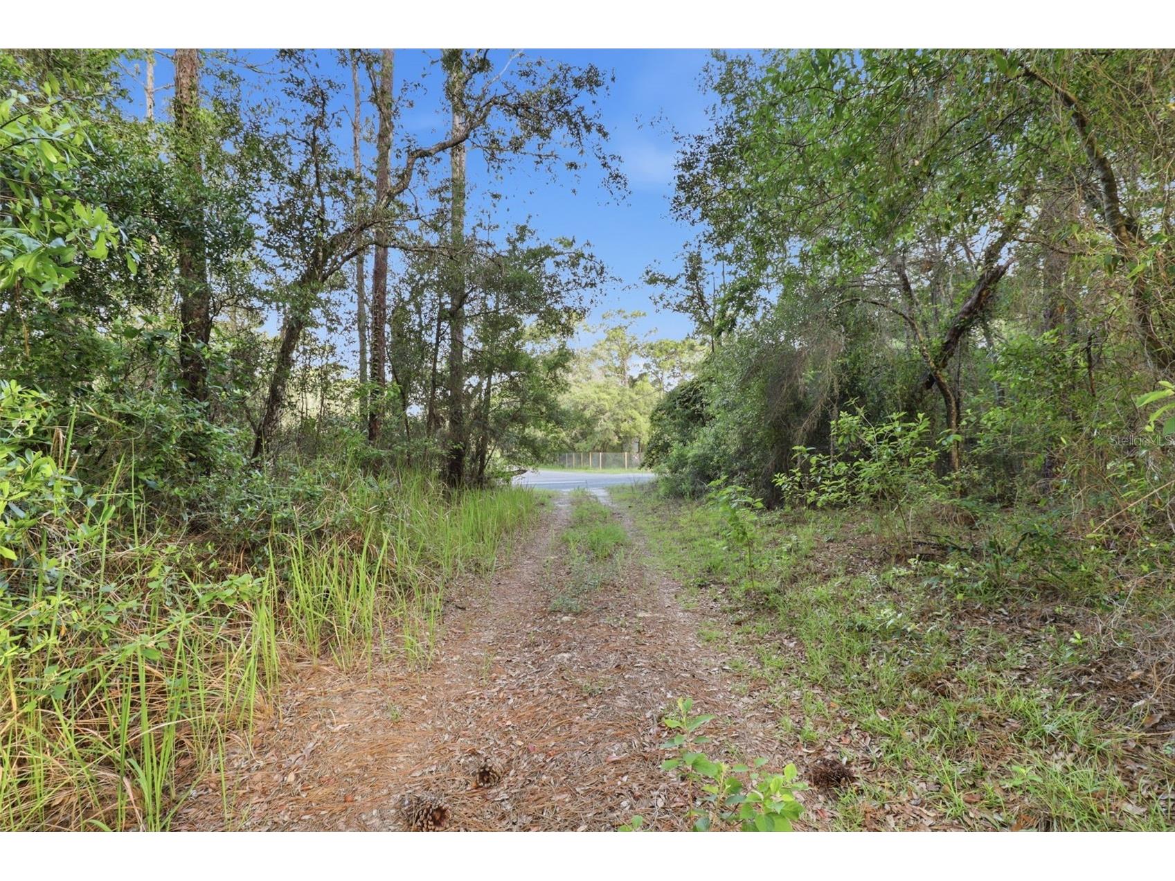 6360 Arizona Street Brooksville FL 34604 OM726287 image25